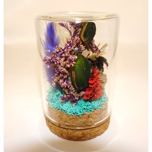 June Bug Bee Wasp Nest & Luna Moth Wing Oddity Dome curiosity taxidermy goth - Picture 4 of 13